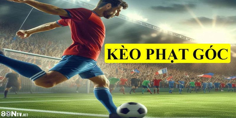 Khám phá chiến thuật kèo phạt góc 8ON thắng đậm