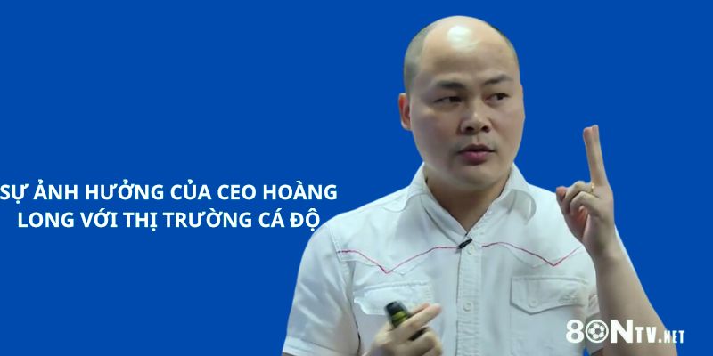 Sự ảnh hưởng của CEO Hoàng Long với thị trường cá độ