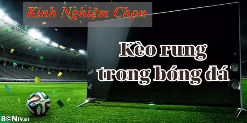 Tìm hiểu về thể loại kèo rung là gì?